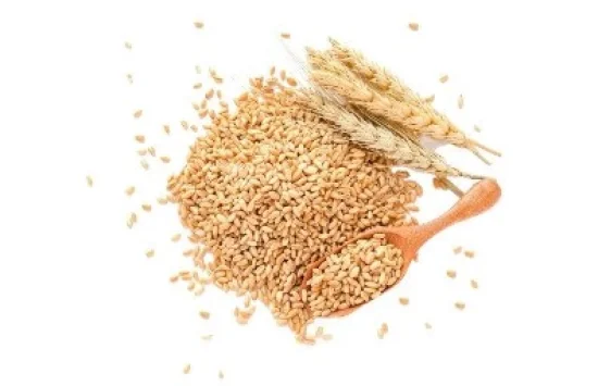 Пшеничен протеин